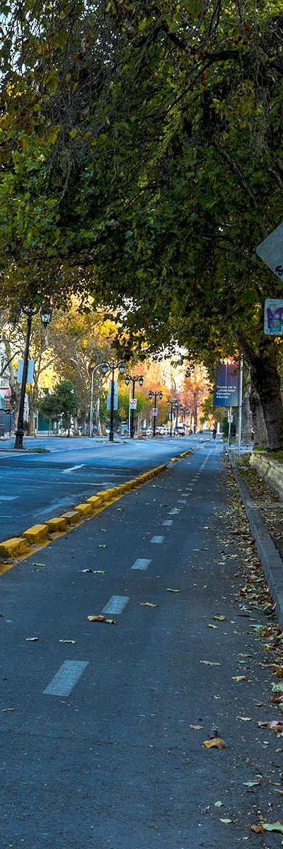 Ciclo Vía